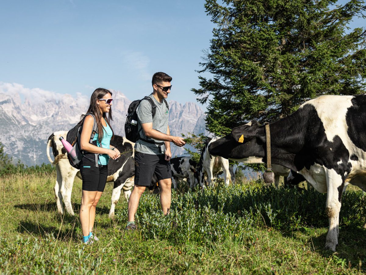 Wanderungen auf der Paganella-Hochebene